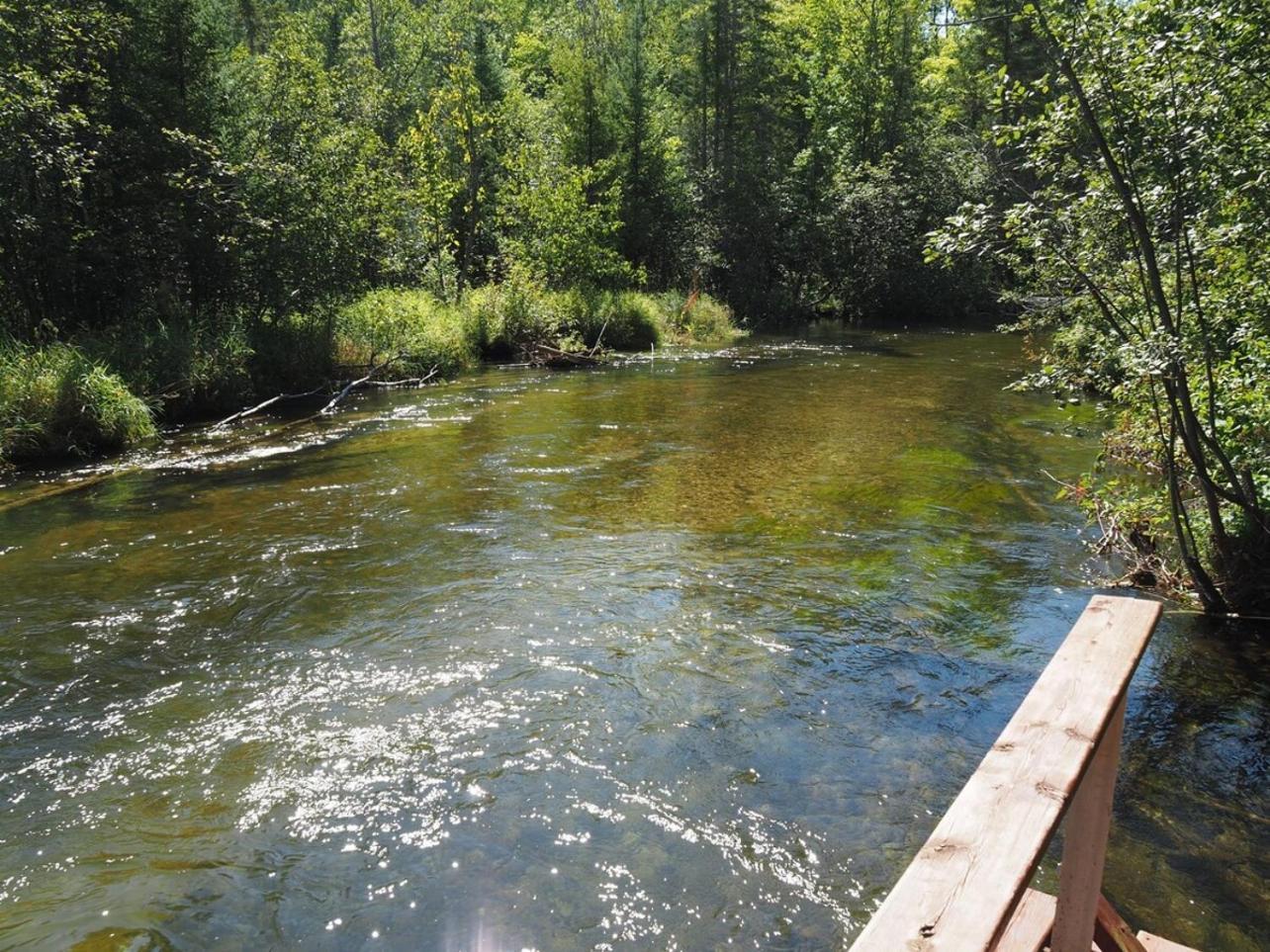 Sleeping Bear Riverside Cabins - Cabin #1 Honor Exterior foto